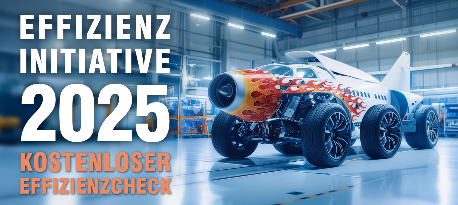 Effizienzinitiative 2025