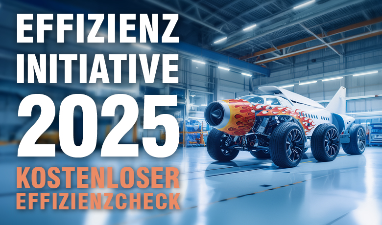 Effizienzinitiative 2025
